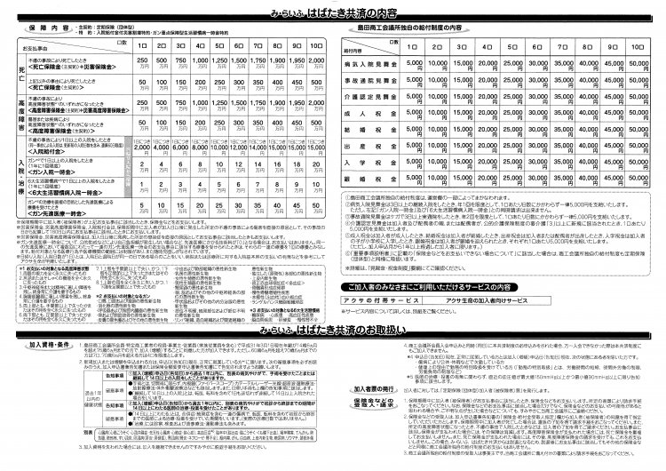 保障内容